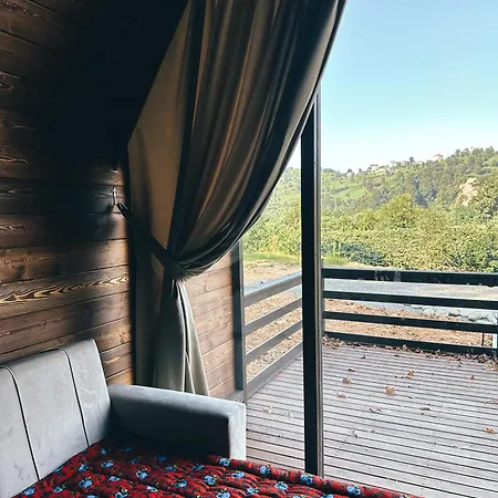 Mora * Ardeşen